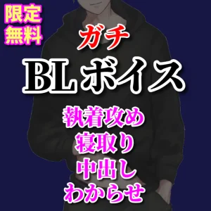 弟が家を空けている間に弟の彼氏を寝取って本番SEXをすませてしまう鬼畜兄の攻めボイスです🌹